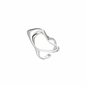 ABSTRACT CHROME RING